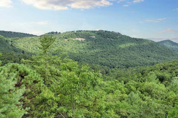 880 CHASTAIN RD, SCALY MOUNTAIN, NC 28775, photo 2 of 65