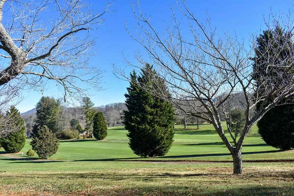 LOT 6&7 ALDERSGATE RD, WAYNESVILLE, NC 28786, photo 4 of 24