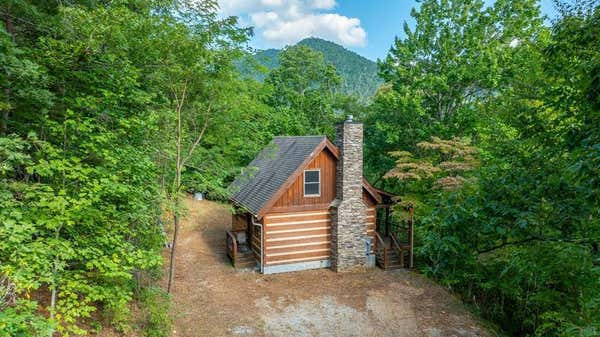 265 PINEVIEW RD, FRANKLIN, NC 28734 - Image 1