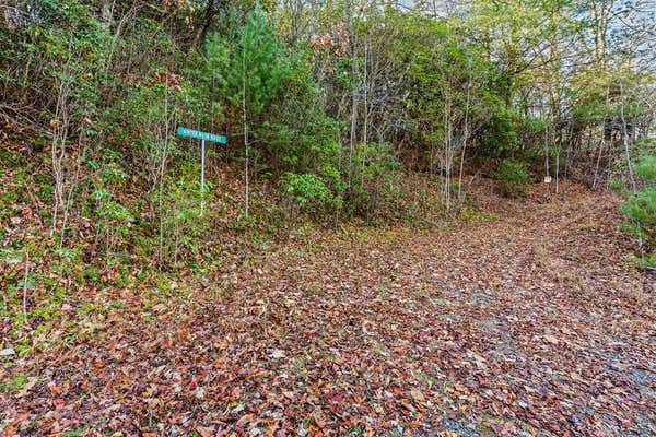 69 & 81 WINTER MOON RIDGE, SYLVA, NC 28779, photo 2 of 27