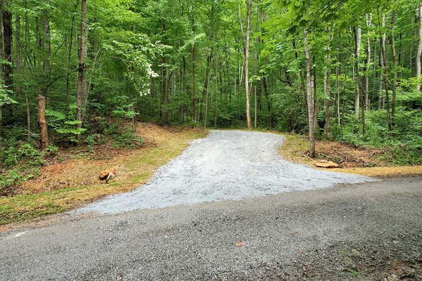 880 CHASTAIN RD, SCALY MOUNTAIN, NC 28775, photo 3 of 65