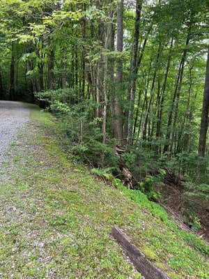 LOT3SEC3 RHODODENDRON DRIVE, TOPTON, NC 28781 - Image 1