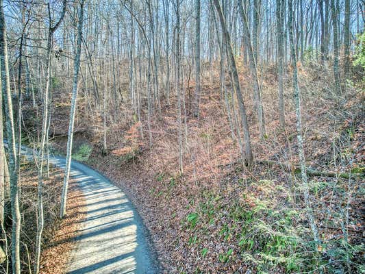 000 TURTLE CREEK ROAD, SYLVA, NC 28779, photo 2 of 8