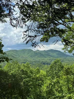 7 BILTMORE CIR, BRYSON CITY, NC 28713, photo 2 of 7