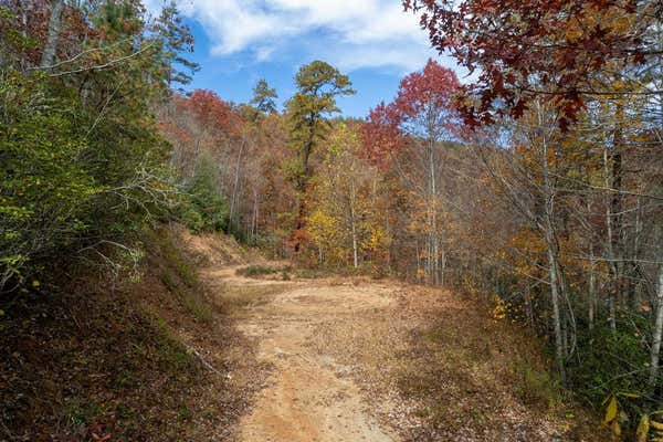 1 WOLF CREEK HTS, ALMOND, NC 28702, photo 3 of 11