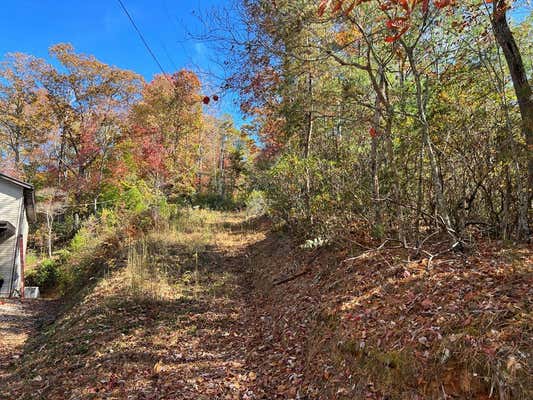 00 PIONEER VILLAGE DR, FRANKLIN, NC 28734, photo 4 of 11