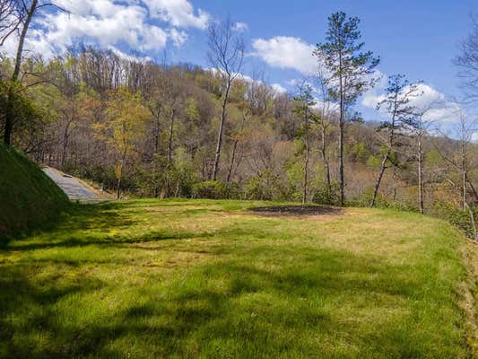 LOT 3 BRYSON GAP PRESERVE, BRYSON CITY, NC 28713, photo 4 of 13