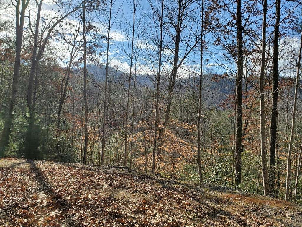 LOT 25 CLIFF VIEW DRIVE, FRANKLIN, NC 28734, photo 1 of 3