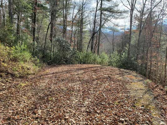 LOT 25 CLIFF VIEW DRIVE, FRANKLIN, NC 28734, photo 2 of 3