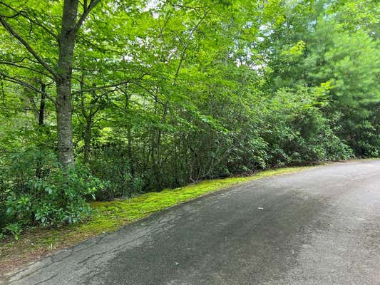 32 NANTAHALA CIR, OTTO, NC 28763, photo 3 of 8