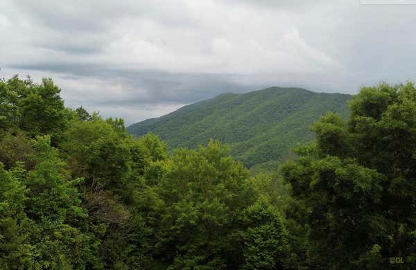 00 NOON DAY SUN RIDGE, TOPTON, NC 28901 - Image 1