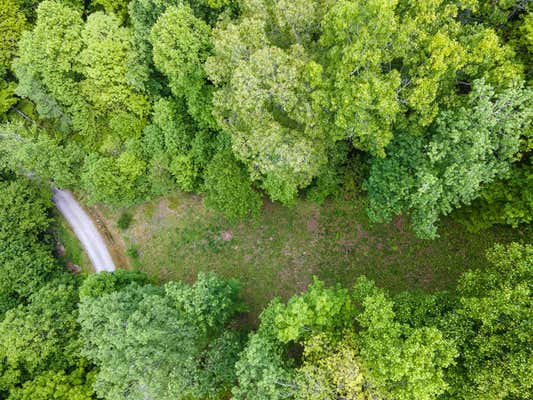 LOT 11B VON TRAPP LANE, TUCKASEGEE, NC 28783, photo 4 of 26