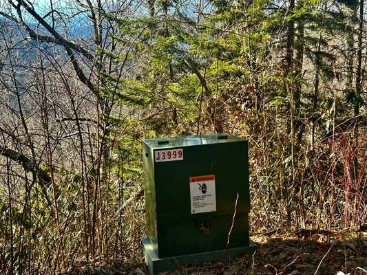 58 PLOTT BALSAM RD LOT 58, MAGGIE VALLEY, NC 28751, photo 2 of 6