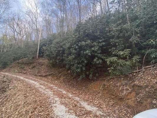 LOT D-3 BRIGGS COVE ROAD, ROBBINSVILLE (GRAHAM), NC 28771, photo 2 of 4