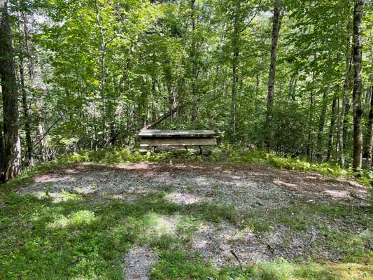 34 RAINBOW TROUT DR, TUCKASEGEE, NC 28783 - Image 1