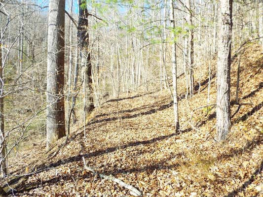 000 HOOPER CHASTAIN ROAD, TUCKASEGEE, NC 28783, photo 3 of 31