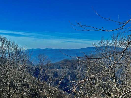 59 PLOTT BALSAM RD, MAGGIE VALLEY, NC 28751, photo 2 of 8