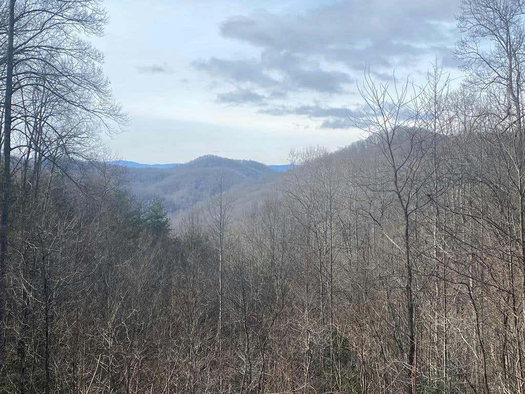 0 GARNET, SYLVA, NC 28779, photo 1 of 21