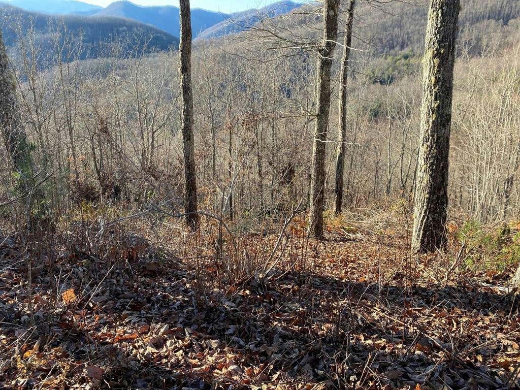 0 HICKORY NUT TRAIL, SYLVA, NC 28779, photo 1 of 18