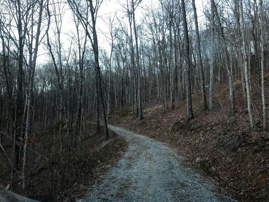 8 RAINBOW FALLS RD, FRANKLIN, NC 28734, photo 3 of 17