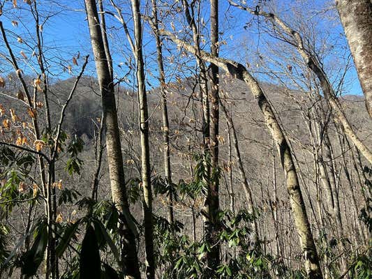 TRACT 6 UPPER NORTH FORK CREEK ROAD, SYLVA, NC 28779 - Image 1