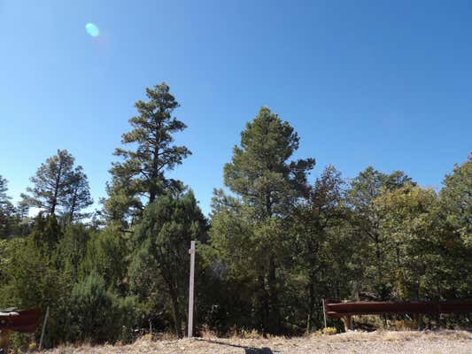 3642 PINEHURST DR, HAPPY JACK, AZ 86024 - Image 1