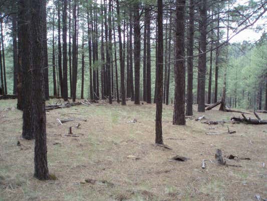 PCL1&2 001K&L COCONINO FOREST RD 137A, HAPPY JACK, AZ 86024 - Image 1