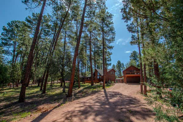 6487 W MARCY WAY, PINE, AZ 85544 - Image 1