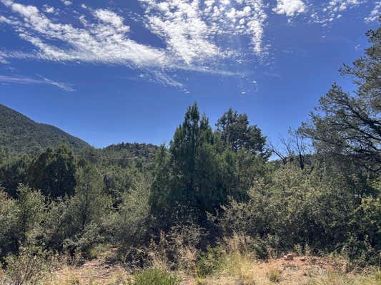 LOT 44 E VERDE CIRCLE, PAYSON, AZ 85541, photo 4 of 7