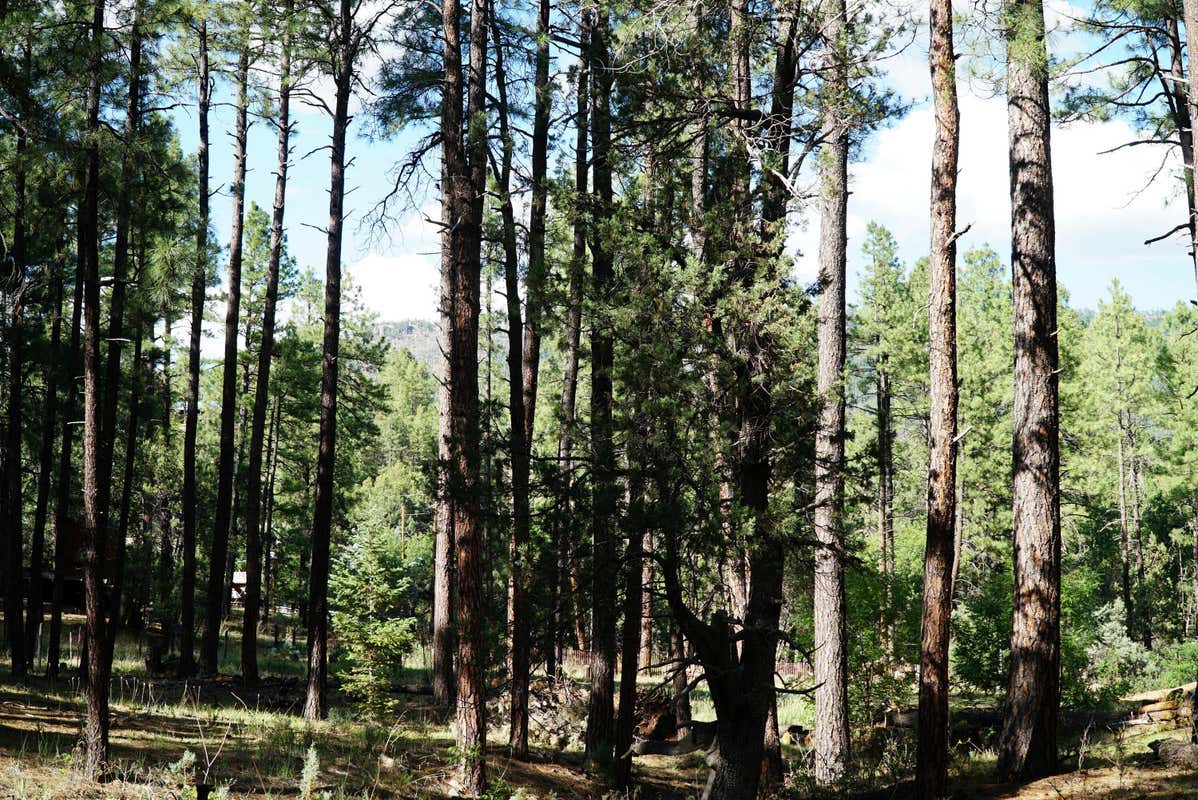 196 W MOCKINGBIRD LN  