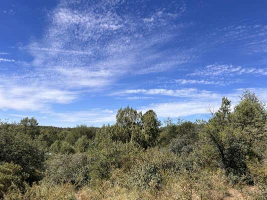 LOT 44 E VERDE CIRCLE, PAYSON, AZ 85541, photo 5 of 7