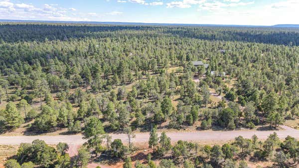 6592 WHISPERING PINE DR, HAPPY JACK, AZ 86024 - Image 1