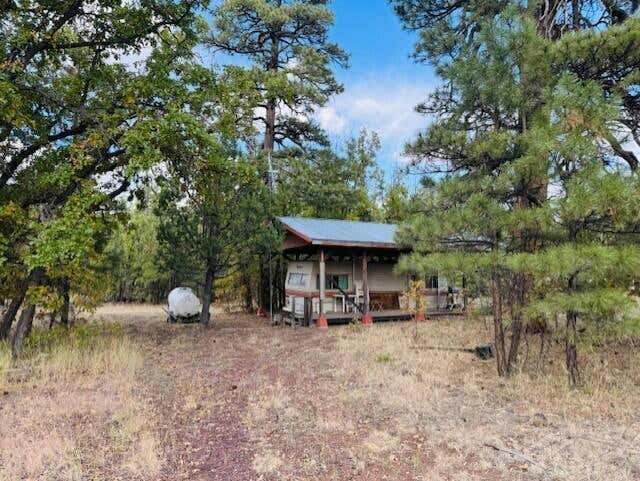 6931 BUCKHORN RD, HAPPY JACK, AZ 86024, photo 1 of 19