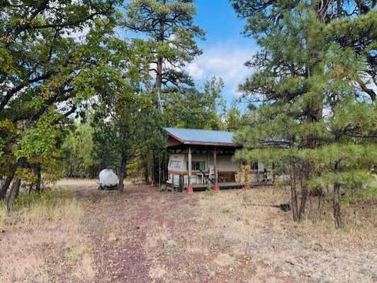 6931 BUCKHORN RD, HAPPY JACK, AZ 86024 - Image 1