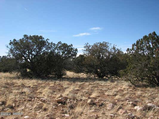 1878 TWIN TANKS RD, HEBER, AZ 85928 - Image 1