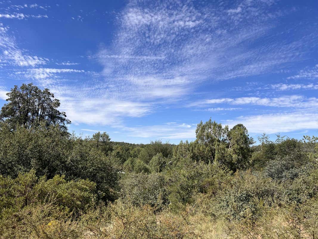 LOT 44 E VERDE CIRCLE, PAYSON, AZ 85541, photo 1 of 7