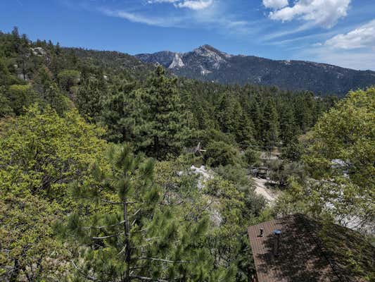 25006 KNOB HILL RD, IDYLLWILD, CA 92549, photo 4 of 48