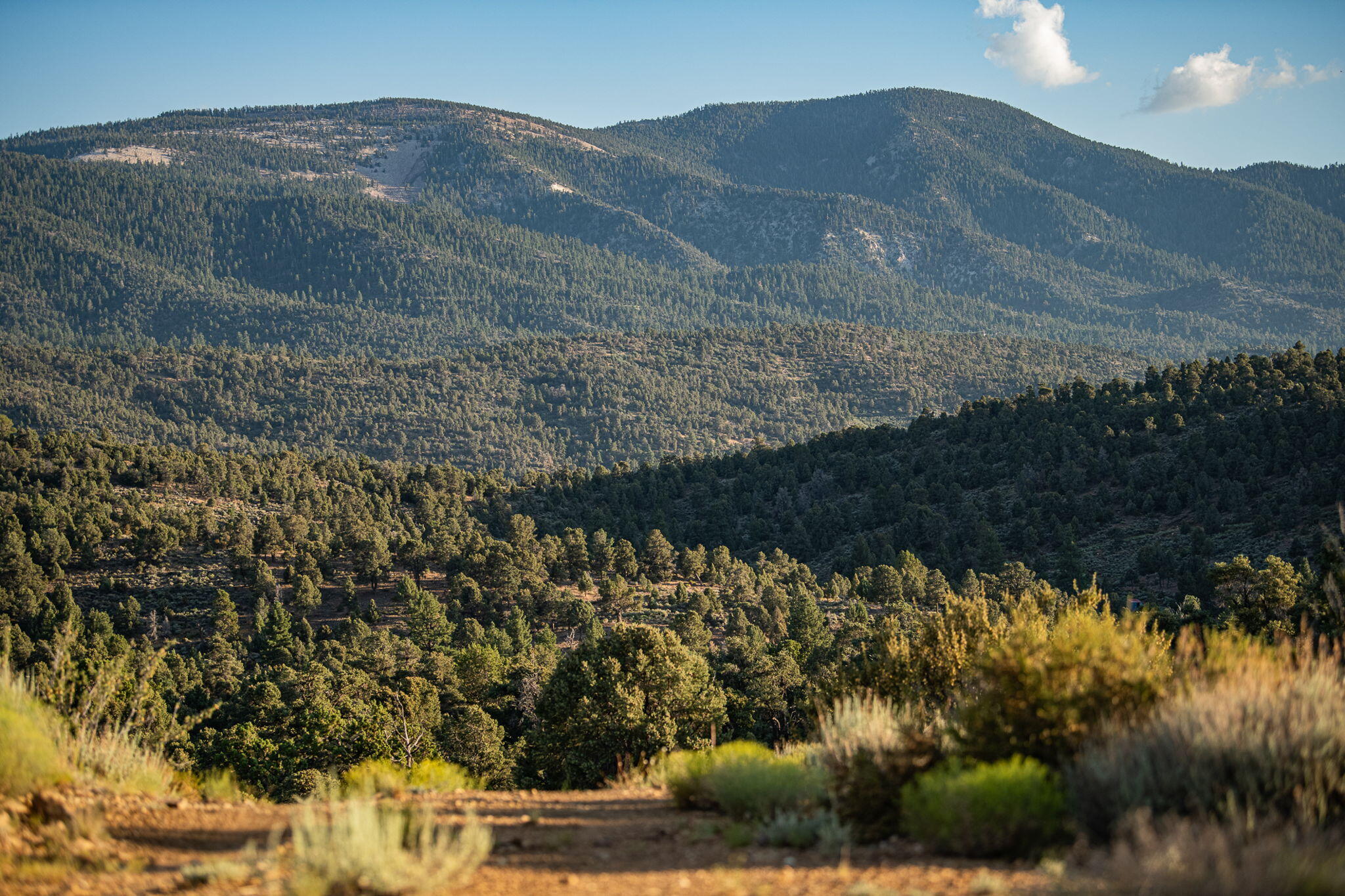 Big Bear City, California, 92314, United States, 2 Bedrooms Bedrooms, ,1 BathroomBathrooms,Residential,Active,1914771