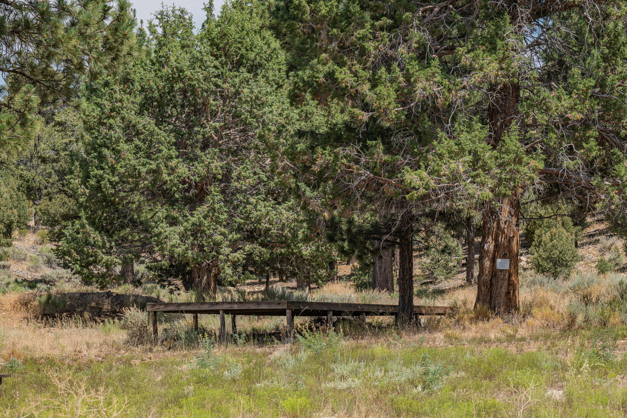 Big Bear City, California, 92314, United States, 2 Bedrooms Bedrooms, ,1 BathroomBathrooms,Residential,Active,1914771