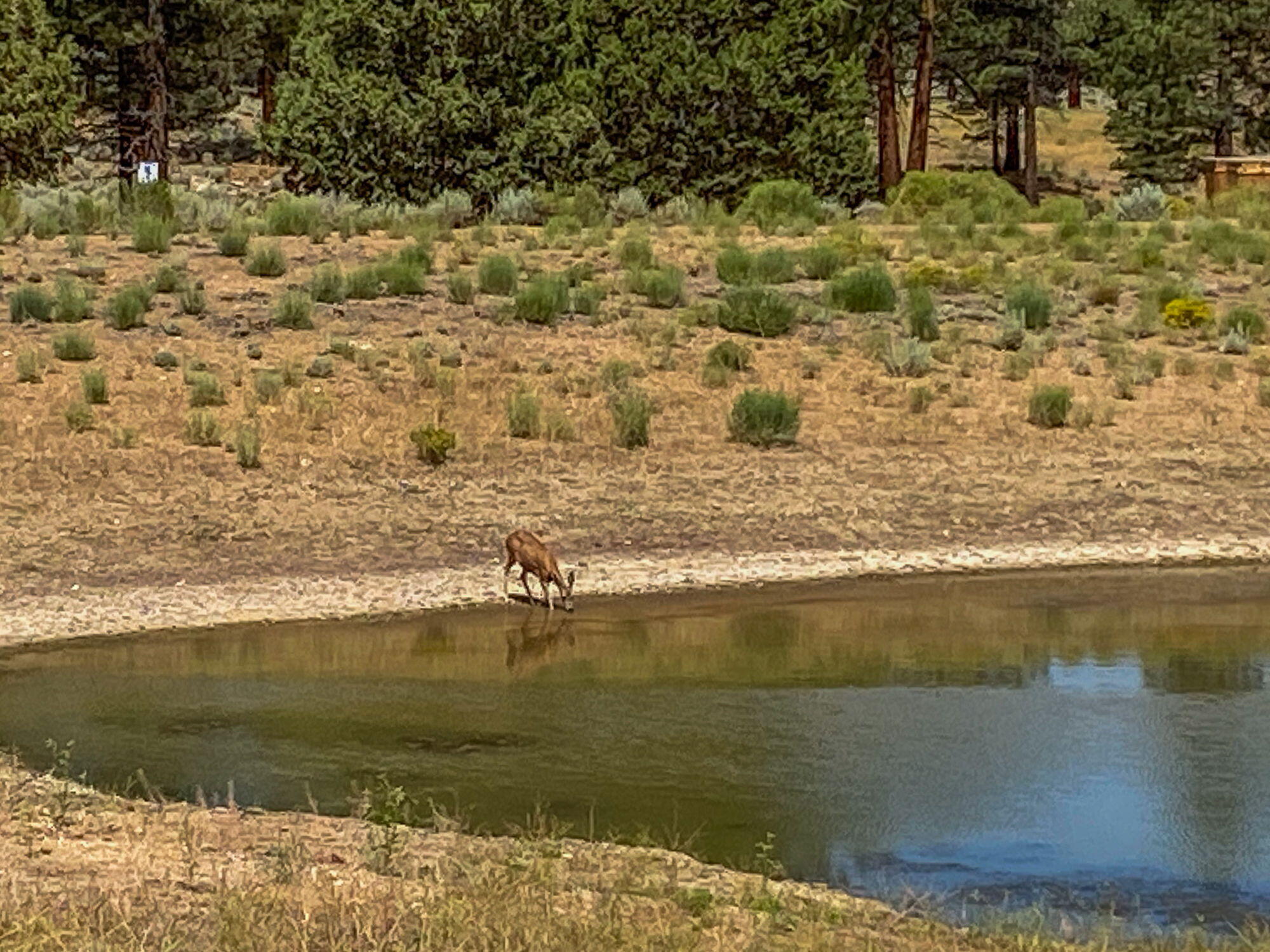 Big Bear City, California, 92314, United States, 2 Bedrooms Bedrooms, ,1 BathroomBathrooms,Residential,Active,1914771