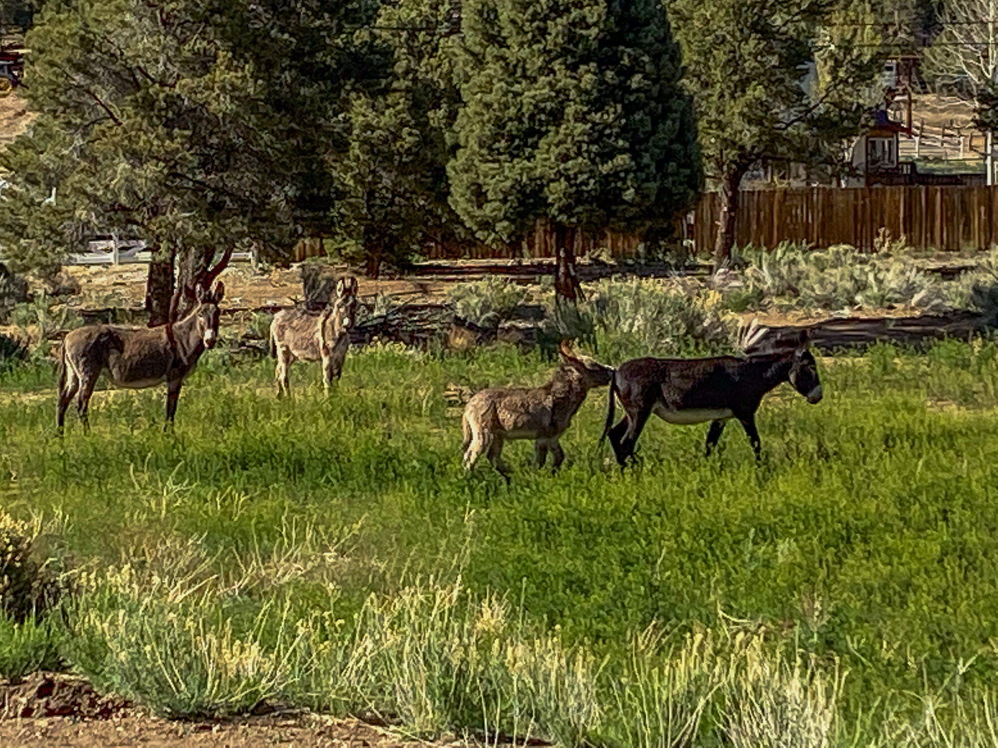 Big Bear City, California, 92314, United States, 2 Bedrooms Bedrooms, ,1 BathroomBathrooms,Residential,Active,1914771