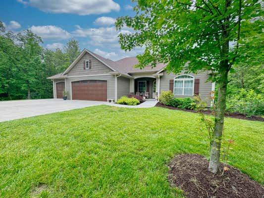 1481 E PINNACLES RD, STURGEON, MO 65284 - Image 1