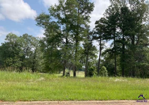 LOT 2 RIVER RIDGE DRIVE, HAWKINSVILLE, GA 31036 - Image 1