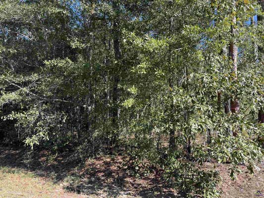 2125 N 441 HIGHWAY, DUBLIN, GA 31201, photo 4 of 7