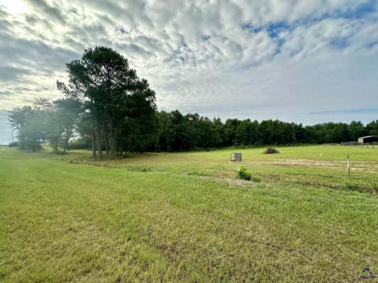 LOT 16 TERRELL ROAD, ELKO, GA 31025 - Image 1