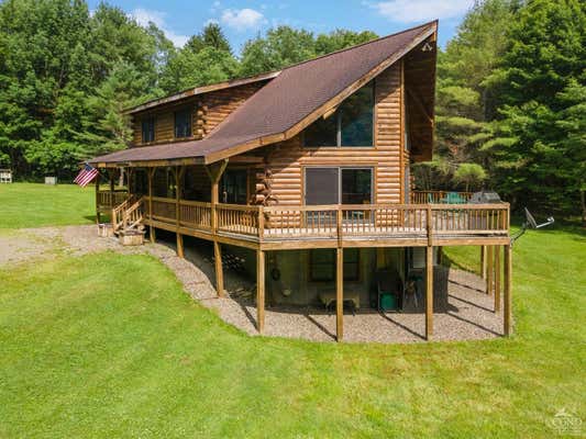 471 BADEAU HILL RD, SCHENEVUS, NY 12155 - Image 1