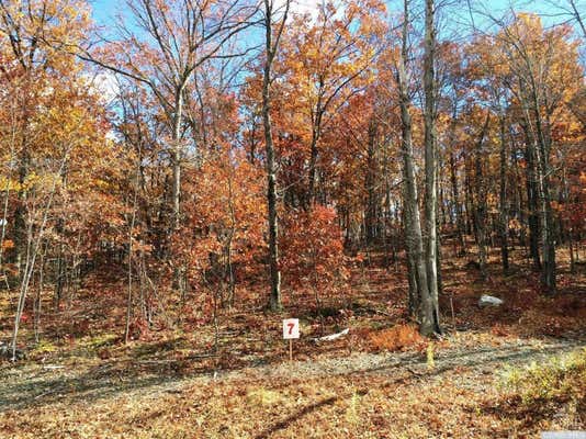 7 STONEGATE OFF BIRCH HILL RD # LOT 7, COPAKE, NY 12521, photo 2 of 4