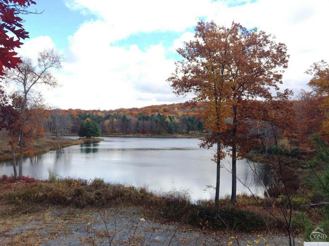 6 STONEGATE OFF BIRCH HILL ROAD # LOT 6, COPAKE, NY 12521, photo 1 of 6