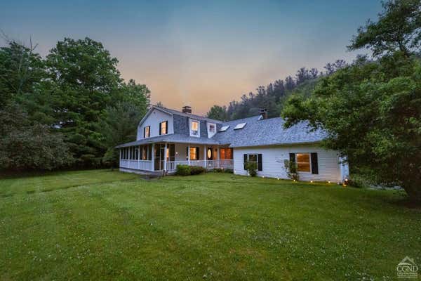 161 SPRUCETON RD, WEST KILL, NY 12492 - Image 1