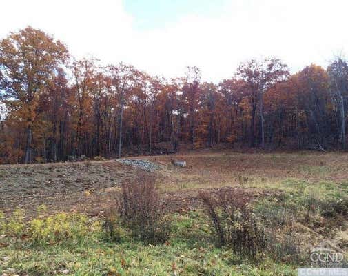 5 STONEGATE OFF BIRCH HILL ROAD # LOT 5, COPAKE, NY 12521, photo 5 of 5